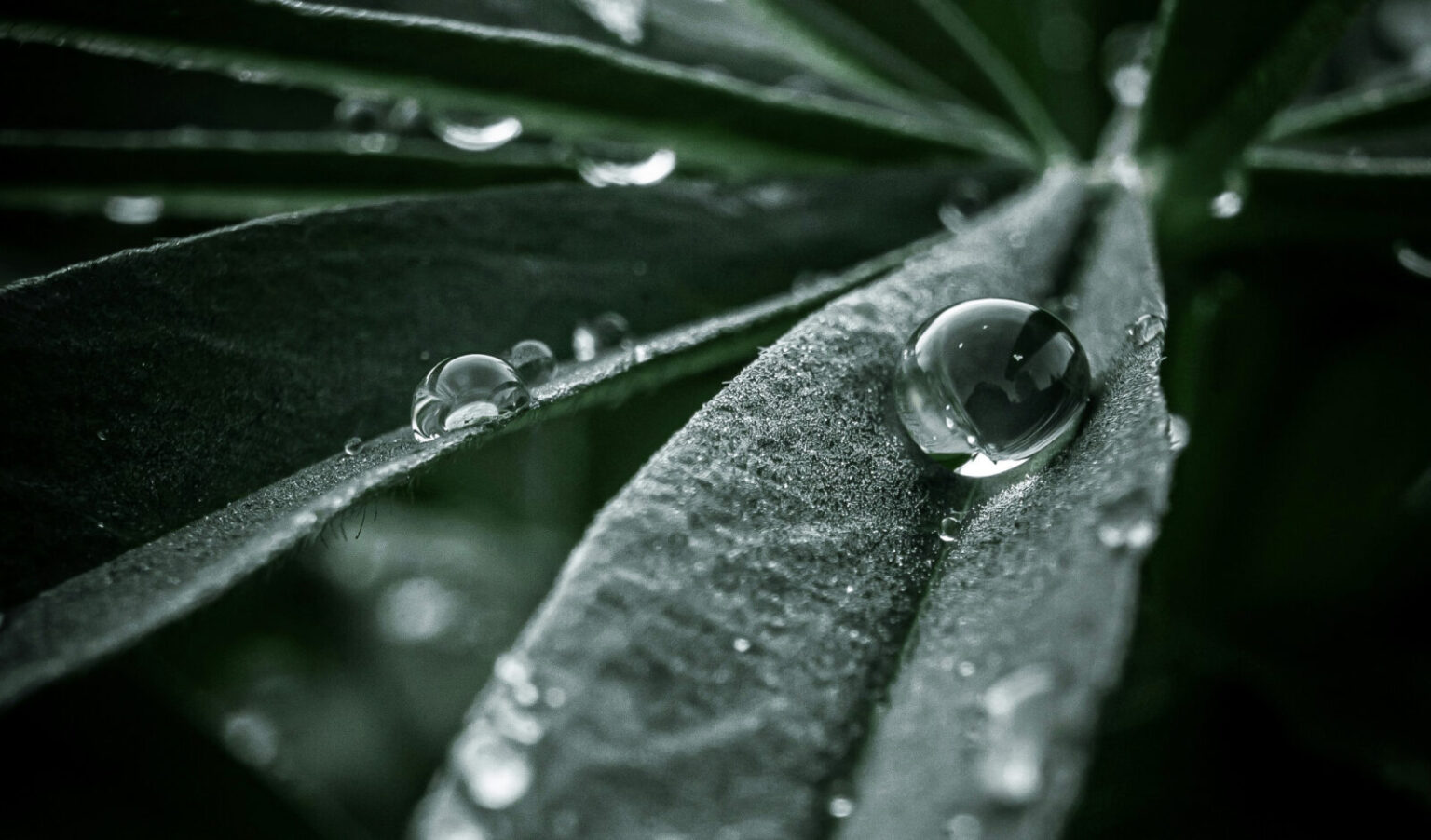 【光の減衰の法則】距離と照度の法則を解説｜ライティングに応用する方法