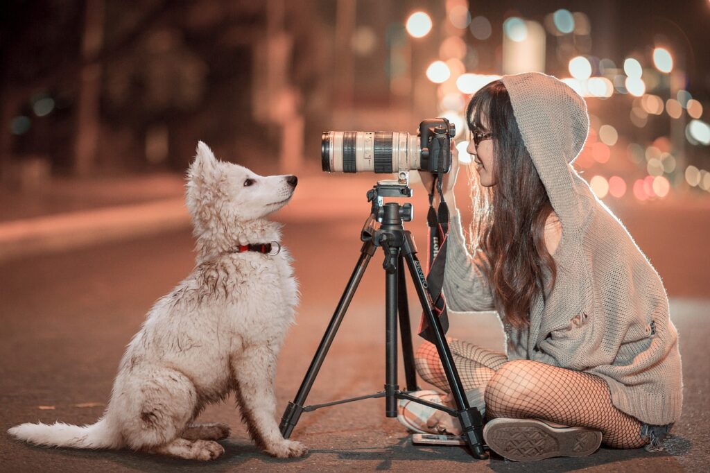 路上で望遠レンズを構える女性の前で犬が対峙している